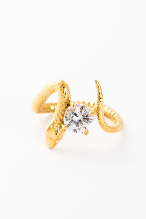 Anello Violeta