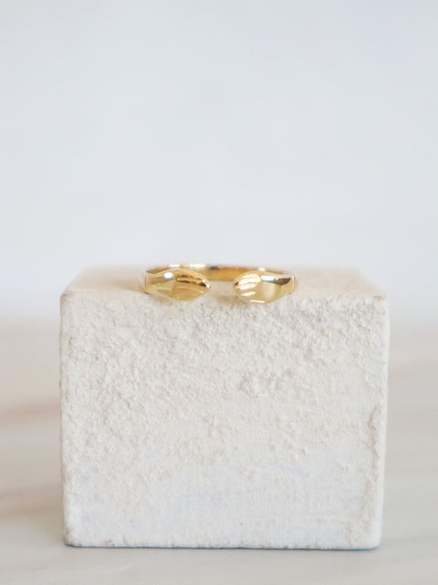Anello Maya