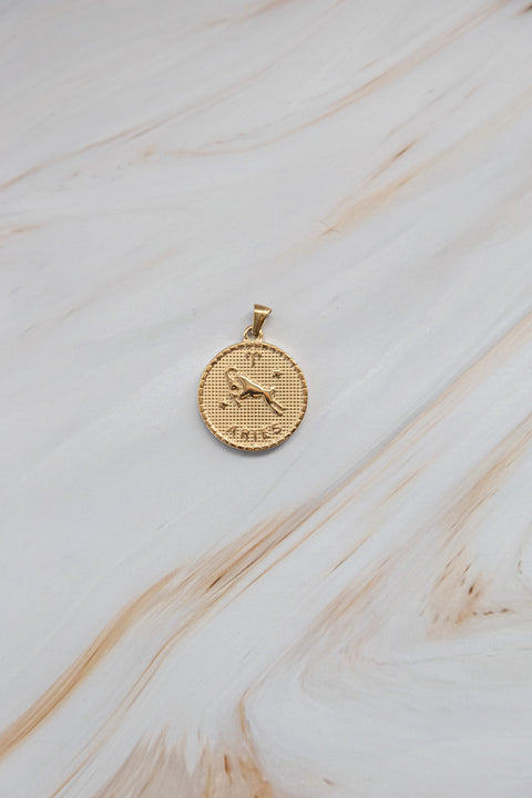 SEGNI DELLO ZODIACO