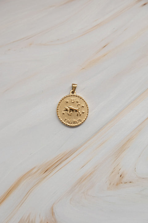 SEGNI DELLO ZODIACO