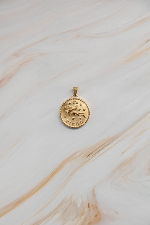SEGNI DELLO ZODIACO