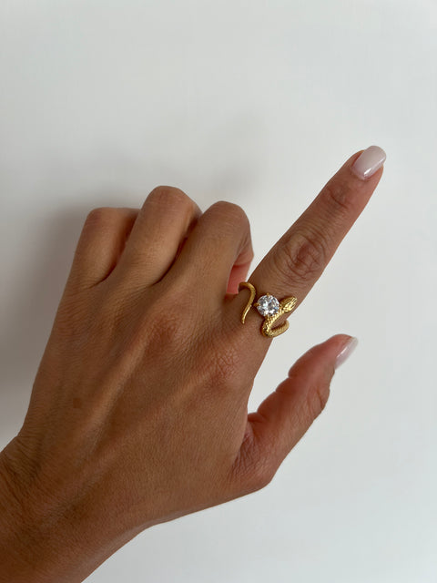 Anello Violeta