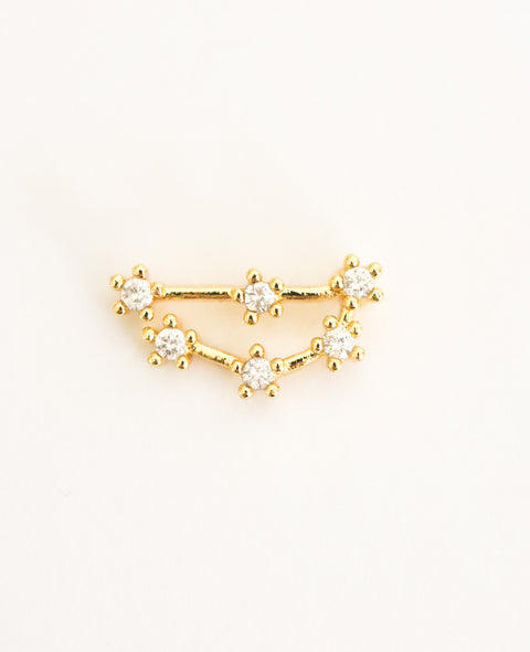 Costellazione Zodiacale Capricorno