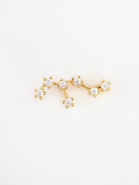 Costellazione Zodiacale Leo